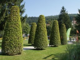 2017 Gartenschau Herrenalb